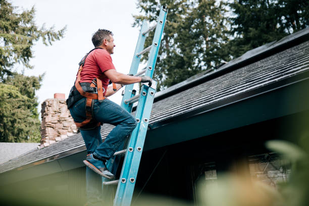 Best Roof Moss and Algae Removal  in Cottage City, MD